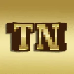 TaggerNation Hytale Server
